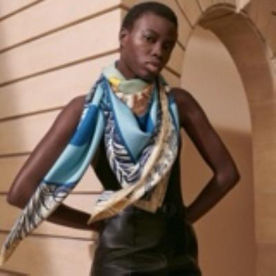 wholesale quality hermes silk scarf model no. 100